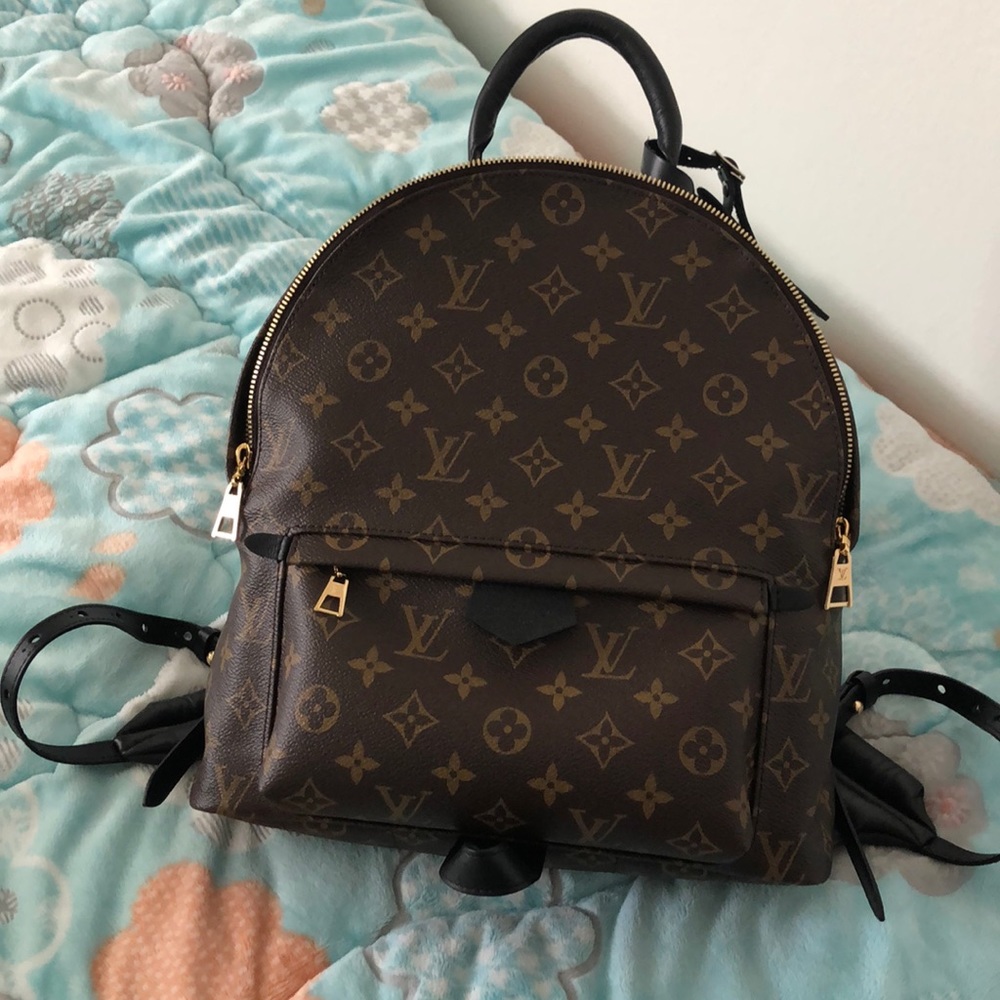 Louis Vuitton Palm Springs MM Backpack
